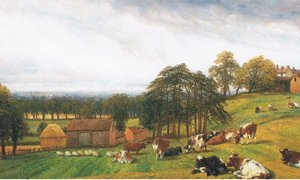 Bétail et moutons à la ferme du Vieux Parc - Thomas Baker
